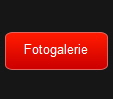 Fotogalerie